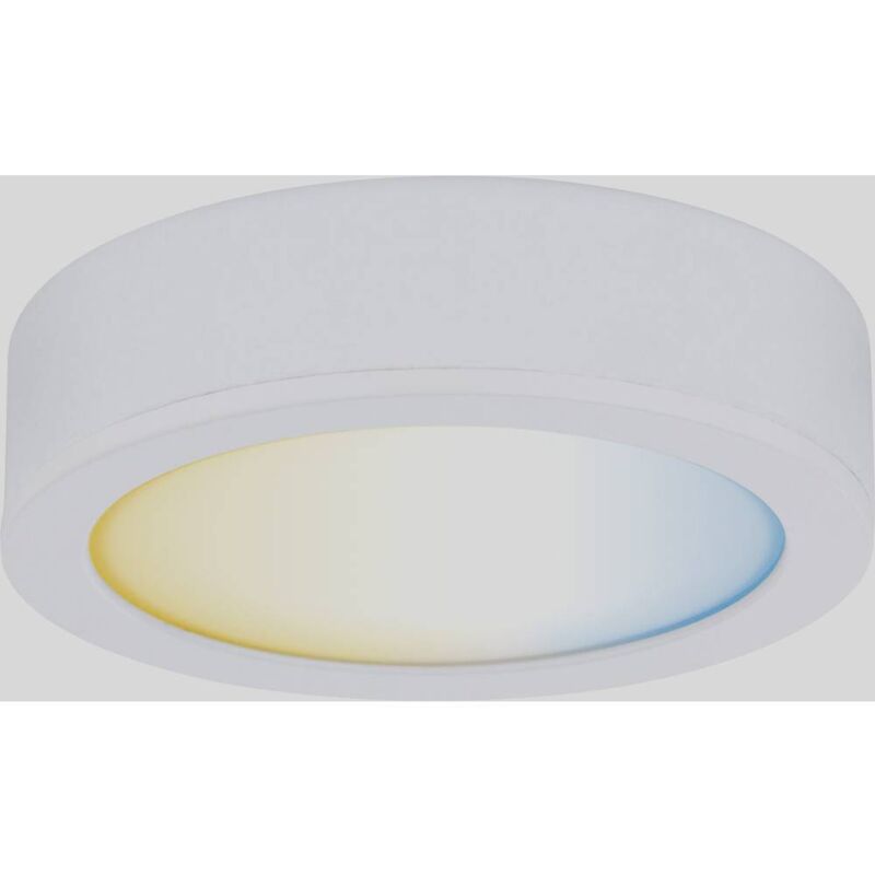 Paulmann - cc Disc Eclairage de vitrine 2.10 w blanc chaud blanc