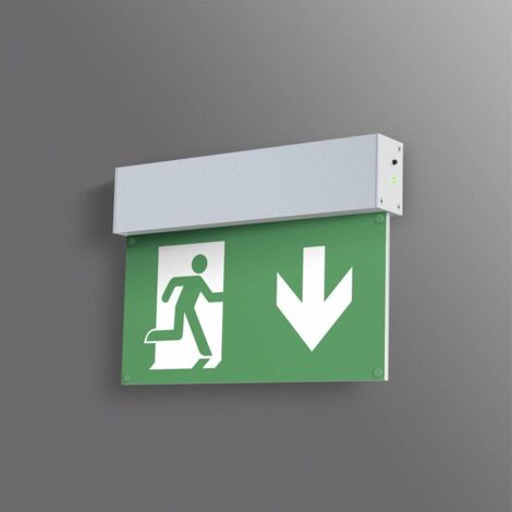 Eclairage d'issue de secours B-SAFETY BR 558 030 S36144