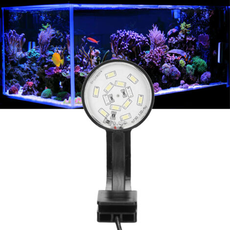 Éclairage LED Mini Aquarium Blanc Bleu Haute Luminosité USB pour Paysage Aquatique - AUTRES