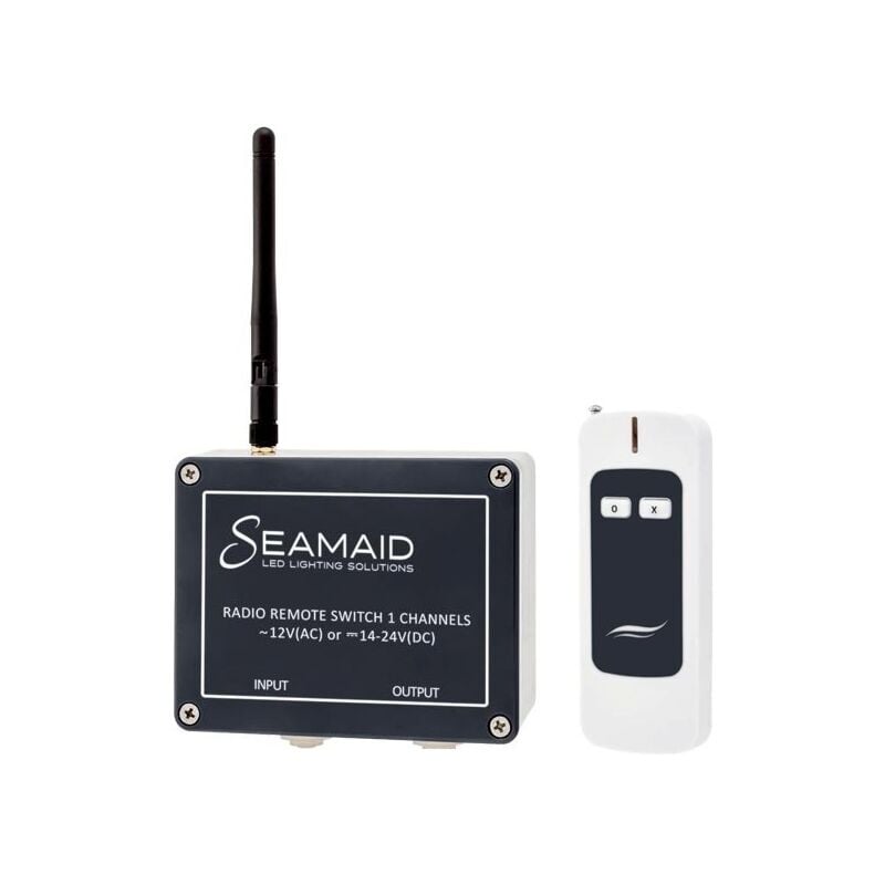 Clairage piscine - Module radio avec télécommande 2 boutons de Seamaid