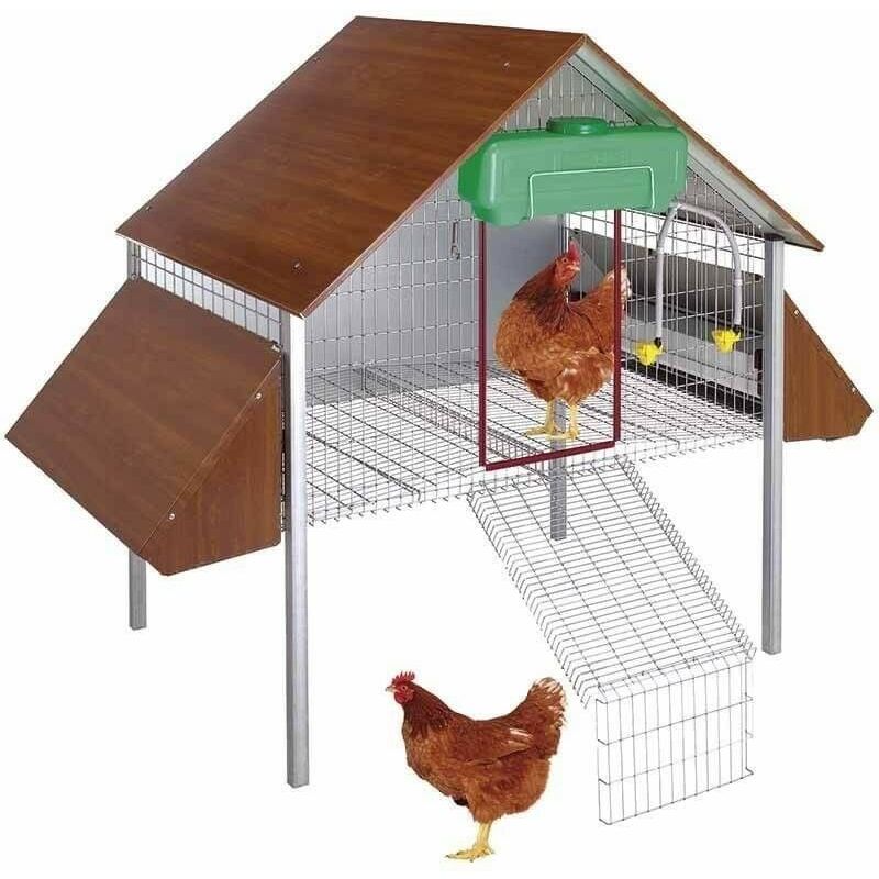 

Eco Ponedero para gallinas - Copele