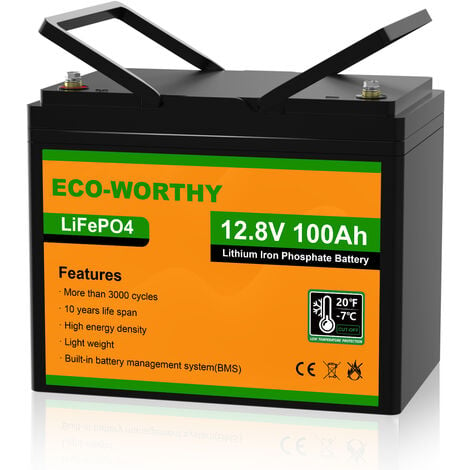 ECO-WORTHY Batteria al litio 12V 100Ah LiFePO4 ricaricabile con oltre 3000 cicli profondi e protezione BMS per sistema solare, camper, barca, casa, kit pannelli solari e campeggio.