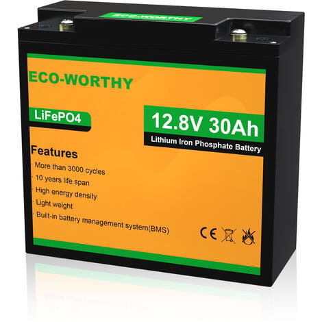 ECO-WORTHY Batterie au lithium 12V 30Ah LiFePO4 rechargeable avec cycle profond de plus de 3000 fois et protection BMS pour systeme solaire, detecteur de poisson, poussette, bateau, kit de panneau sol