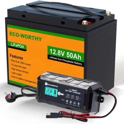 ECO-WORTHY Batterie Lithium 12V 50AH LiFePO4 + 10A 12V chargeur de batterie