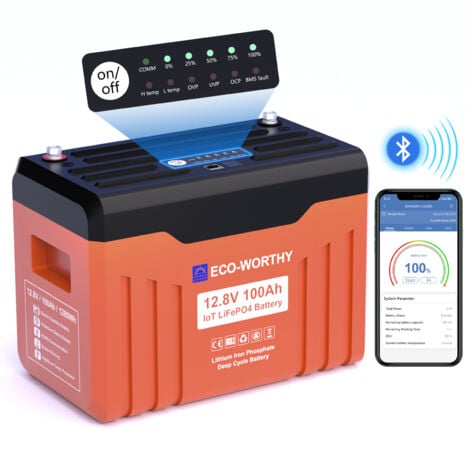 ECO-WORTHY Akku 12V 100Ah Bluetooth und WiFi Lithium Batterie mit Monitor-Anzeigelampe,100 BMS Niedrigtemperaturschutz, automatischer Ausfallalarm, 4000 Zyklen1280Wh für Wohnmobile, Camping