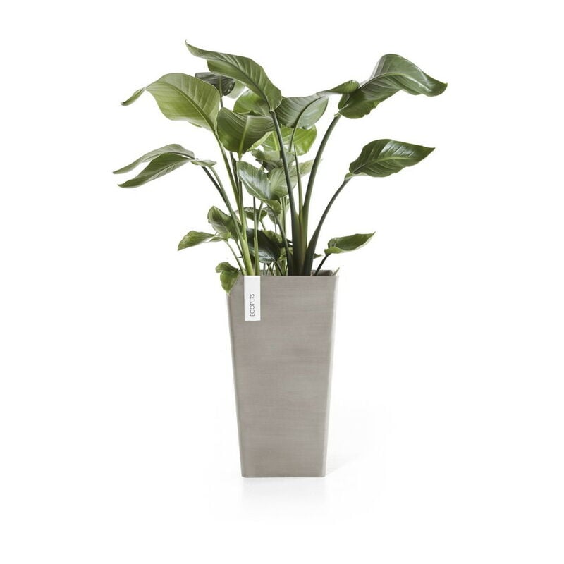 Ecopots - Pot Haut Rotterdam 56 Taupe - 31 x 31 x h. 56 cm - 36,2 l