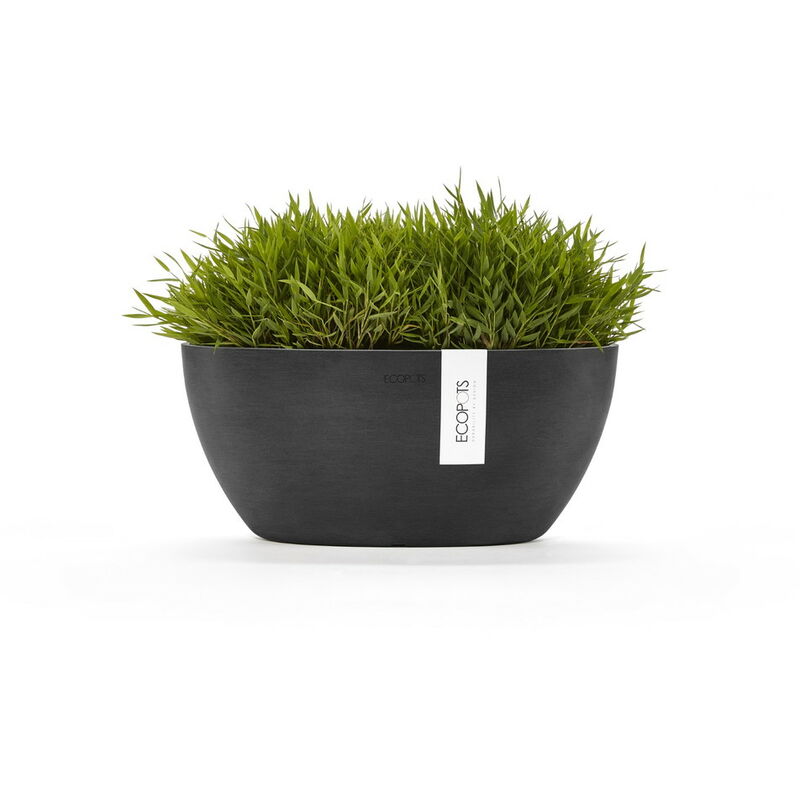 Ecopots - Pot Ovale Sofia 30 Gris Foncé + réservoir d'eau - 30 x 13 x h. 13,5 cm - 2,7 l