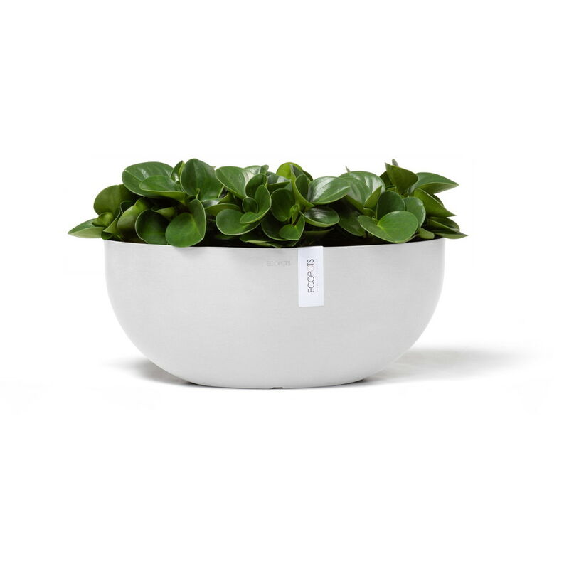Ecopots - Pot Ovale Sofia Big 43 Blanc Pur + réservoir d'eau - 43 x 25 x h. 17,5 cm - 8,2 l