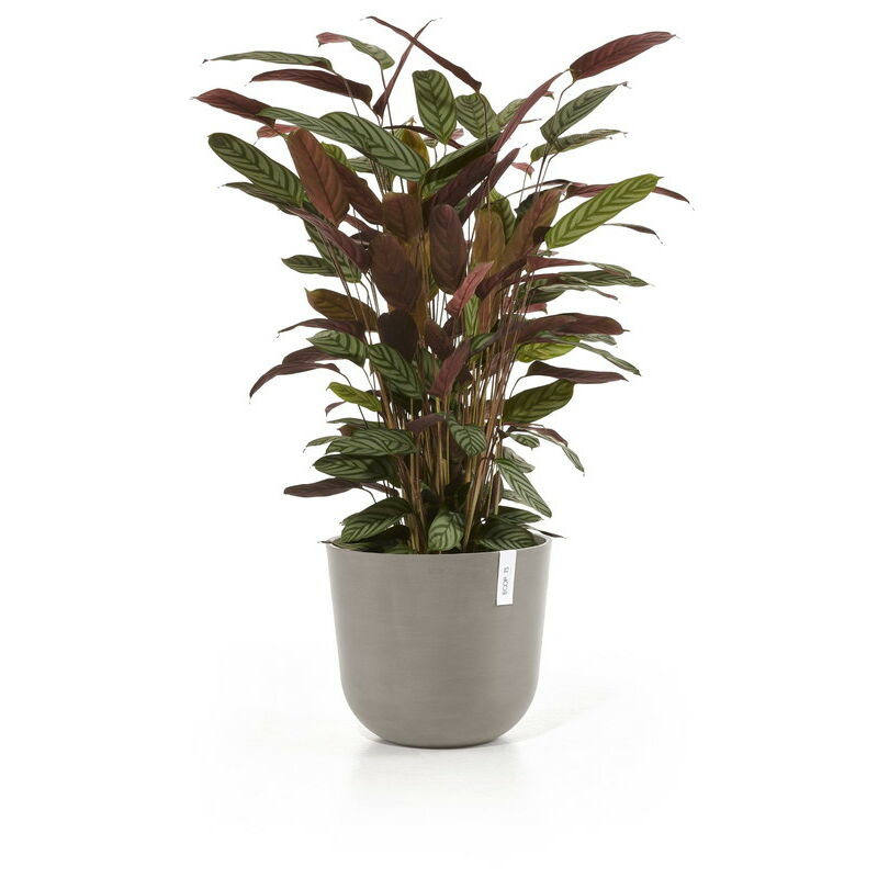 Pot Rond Oslo 35 Taupe + réservoir d'eau - ø 35 x h. 30,5 cm - 21,7 l - Ecopots