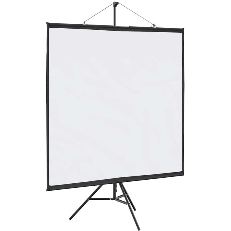 Vidaxl - cran de projection avec trépied 67 pouces 1:1