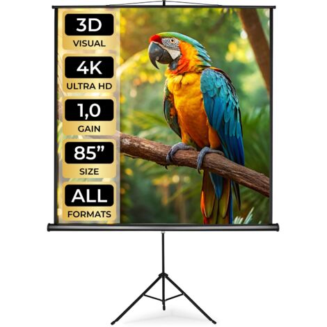 Écran de projection extensible avec un trépied en polyester blanc