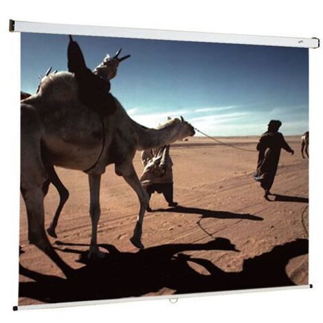 Ecran de projection mural manuel Oray 150 x 150