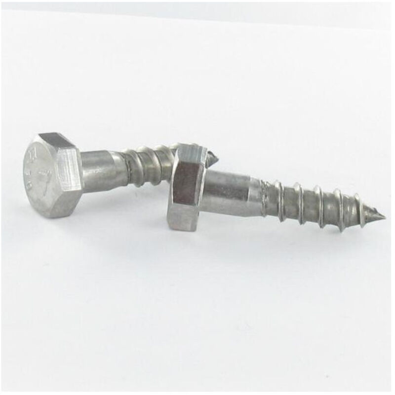 Vis Express - Tirefonds Inox A4 10X100-30 pièces