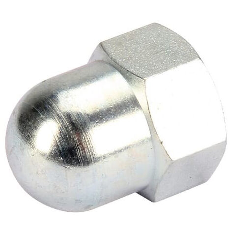 Écrou borgne M14 x 1,5 AGRIA AGW00708