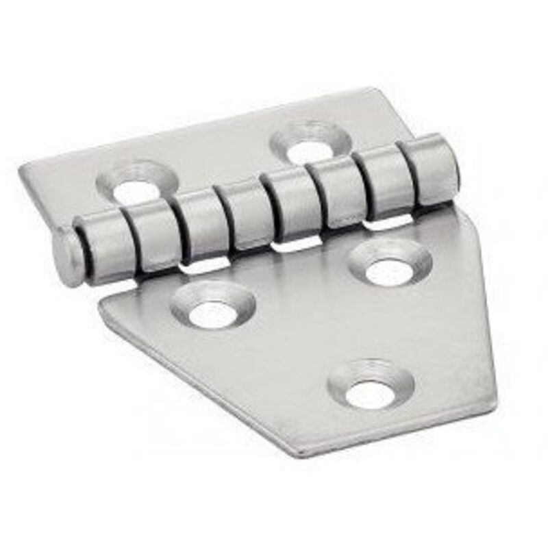 Charnière Type c 5 trous Inox A2 55X40-100 pièces