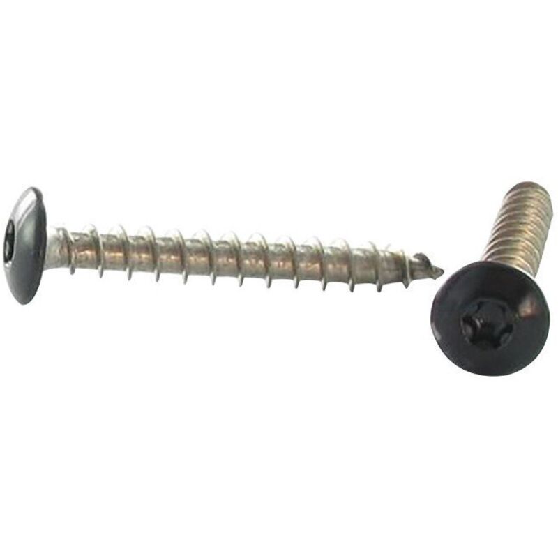 Vis Express - Vis Penture 7X50 torx T30 Inox A2 Laqué noir RAL9005 noir foncé-100 pièces