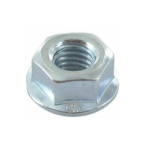 Ecrou hexagonal GGP - CASTELGARDEN 112154220/0