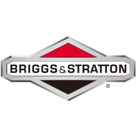 Ecrou ORIGINAL BRIGGS & STRATTON pour tracteur de pelouse 1960282SM