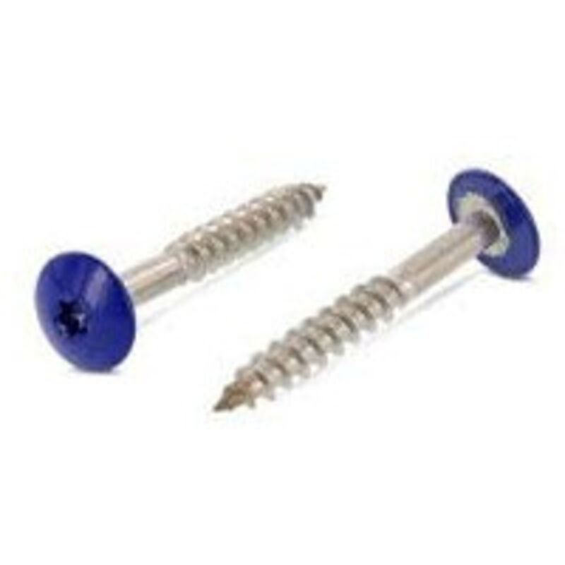 Vis de facade torx T20 4.8X25 Diamètre de tête: 12.3 Inox A2 RAL5002-100 pièces