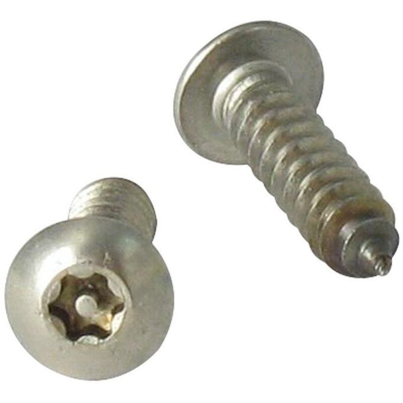 Vis Express - Vis tôle Inviolable Inox A2 Tête cylindrique tc T25+TETON 4.8X19-100 pièces