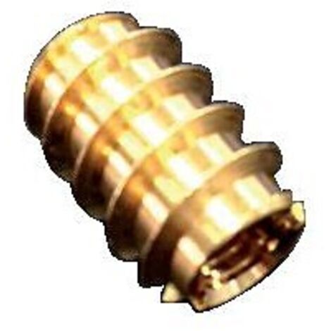 Écrous laiton double filet diamètre 6 boîte de 20 pièces - FAUQUET