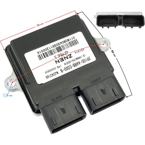 ECU - Delphi Falcon 125cc Einspritzsteuerung