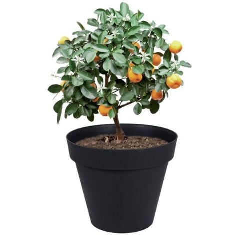 Pot de fleur rond Toscane Ø 80 x H.66 cm - Anthracite - Eda