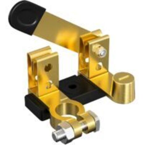 Ede Interrupteur de batterie 12 V/24 V sur colonne supérieure, compatible avec voitures, bateaux, camping-cars et véhicules tout-terrain (pôle négatif, vertical).