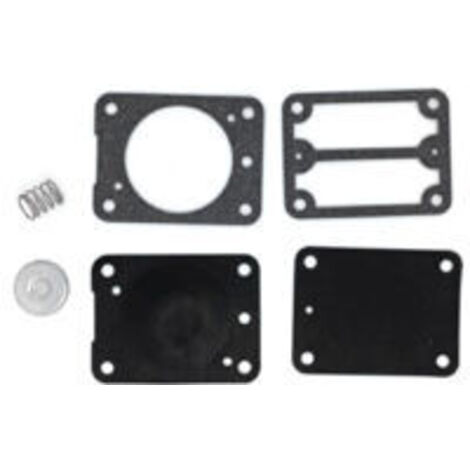 Ede Kit de pompe à carburant S-giant compatible avec Briggs & Stratton 693502.