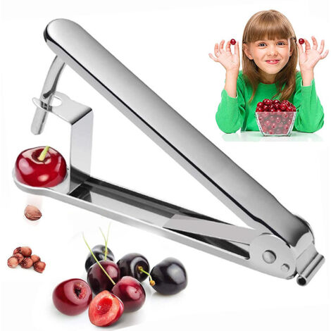 Edelstahl Cherry Truck Centiko Entkernerpresse Dattel-Stoner-Grube