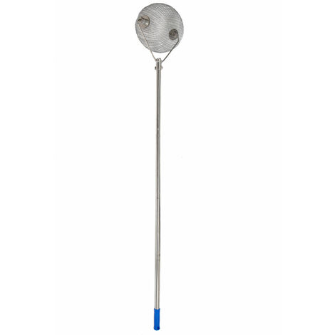 Edelstahl Nusssammler Apfelsammler Fallobstsammler Collector Walnüsse Pekannüsse Obstsammler Gartenpflücker Rollsammler
