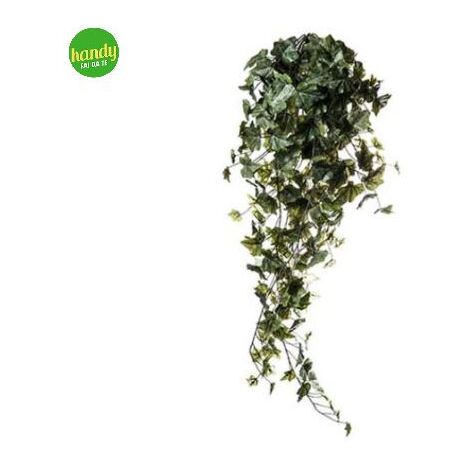 Edera 244 Foglie 96 cm Arpimex