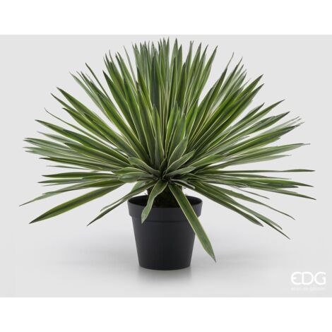 EDG Agave Con Vaso H 65 cm
