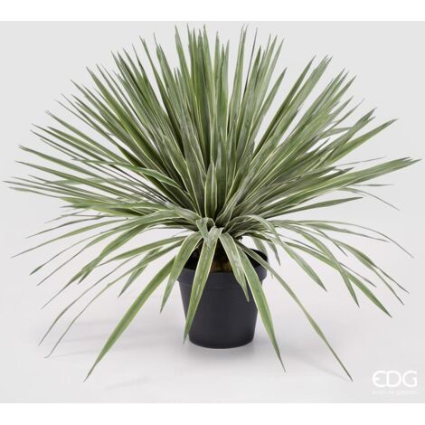 EDG Agave Con Vaso H 80 cm