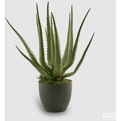 EDG Aloe Chic Con Vaso Pvc H 55 cm