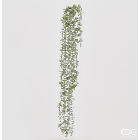 EDG Cespuglio Eucalipto H 105 cm