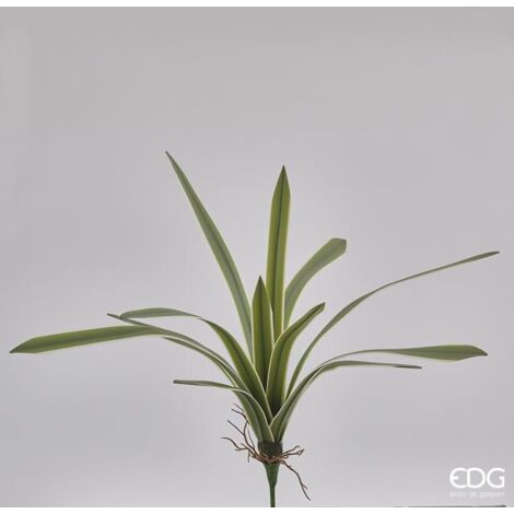 EDG Cespuglio Falangio Real Touch H 51 cm