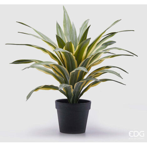 EDG Enzo De Gasperi Agave Succ. con Vaso Artificiale H 60 Cm Green Mix