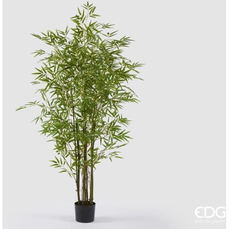 EDG Enzo De Gasperi Bamboo con Vaso H 150 cm Colore Verde