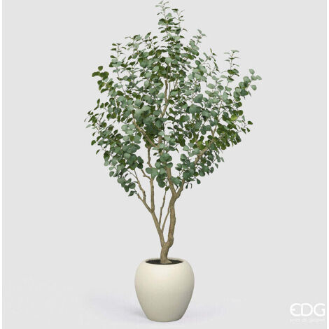 EDG Enzo De Gasperi Eucalipto con Vaso H 244 Cm Pianta Artificiale Verde