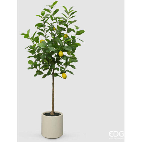 EDG Enzo De Gasperi Limone  Vogue x5 con Vaso Pianta Artificiale H 160 Cm Verde Giallo