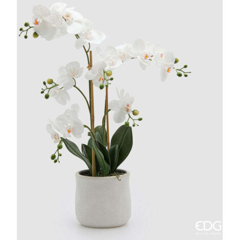 EDG Enzo De Gasperi Orchidea Phalaenopsis x5 con Foglie e Vaso H 62 Cm Pianta Artificiale Bianco