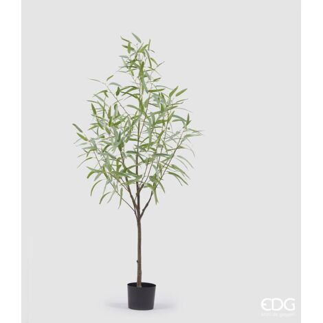 EDG Eucalipto Con Vaso H 170 cm
