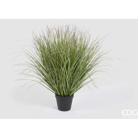 EDG Festuca Con Vaso H 58 cm