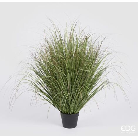 EDG Festuca Con Vaso H 90 cm