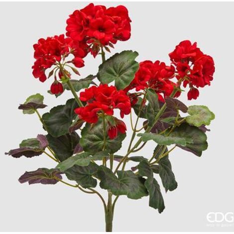 EDG Geranio Cespuglio x 5 Con Foglie Rosso H 45 cm