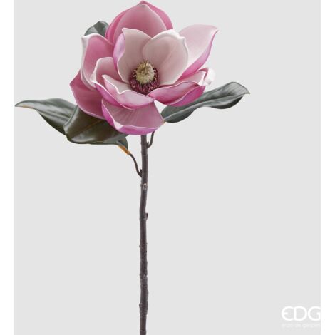 EDG - Magnolia Supreme Con Foglie H 7