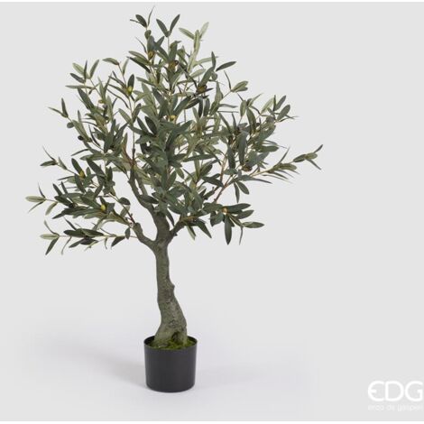 EDG Olivo Con Vaso H 110 cm