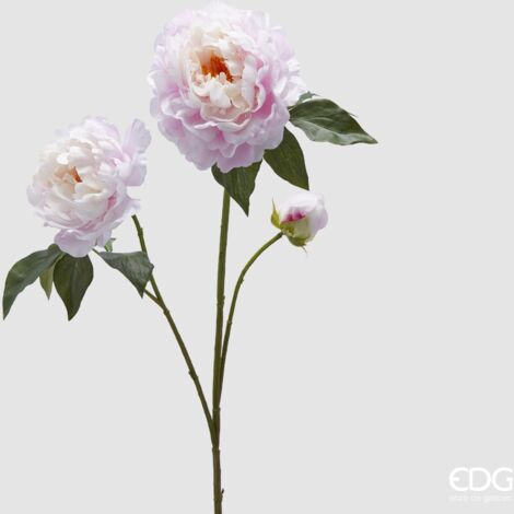 EDG - Peonia Ramo Con Foglie E Bocciuolo