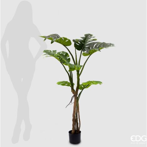 EDG Pianta Monstera Slim Con Vaso H.130 Cm